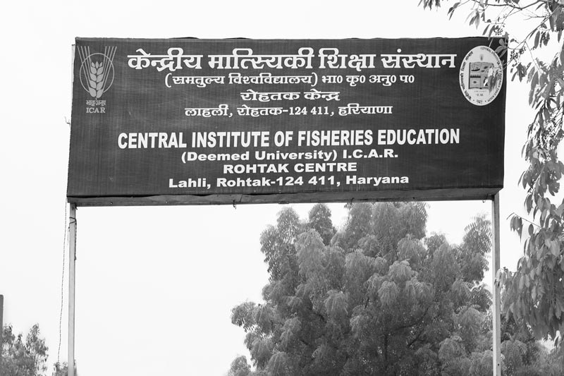 Central Institute of Fisheries  Education (CIFE) Rohtak Centre located in  Rohtak district, Haryana